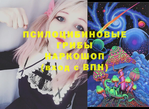 гидропоника Елизово