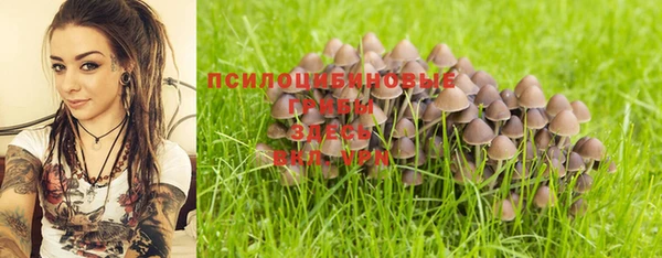 ALPHA PVP Елабуга