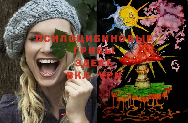 гидропоника Елизово