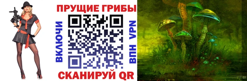Галлюциногенные грибы Psilocybine cubensis  Купить где  Саранск 